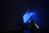 Laura Buckley Dave Maclean Haroon Mirza Stage Fright